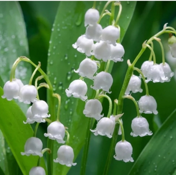 I'm featured today - Picture 7 of 15